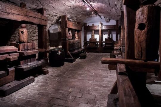 Small Carpathian Wine Tasting and Red Stone Castle Tour