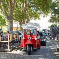 Private & Custom Tours