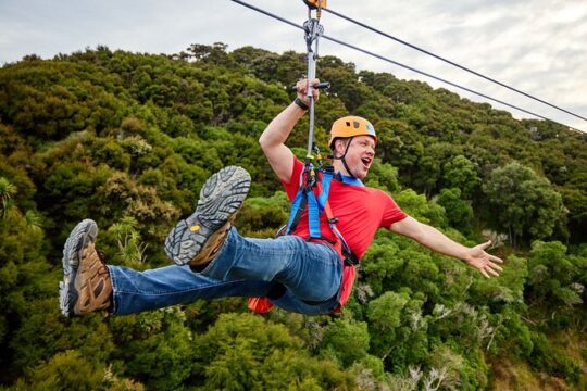 Half Day Zipline Adventure in Kaikoura