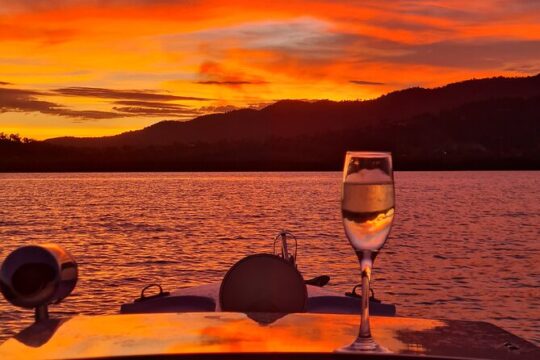 Whisper Cruises Turtle Spotting Sunset Cruise - Electric Boat
