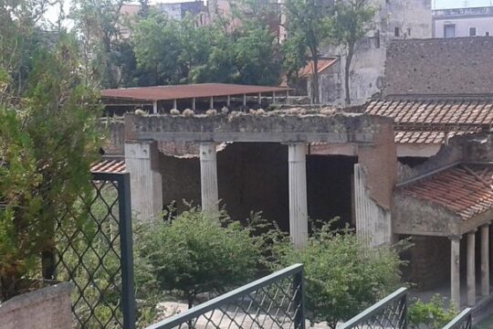 Private Transfer Naples to Positano stop at Pompeii and Pizza.