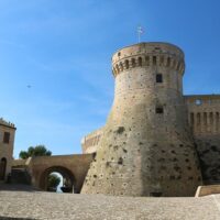 Private & Custom Tours
