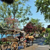 Eco Tours