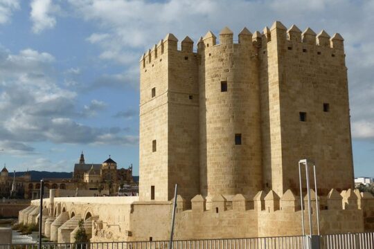 Day Trip from Seville to Cordoba
