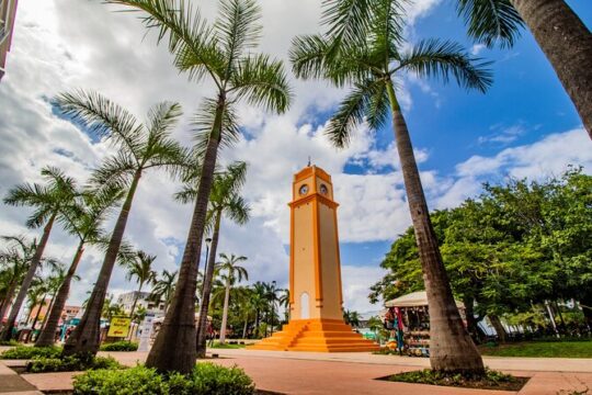 Open Top City Tour & Beach Break