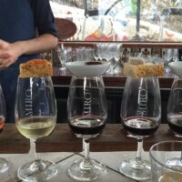 Wine Tasting & Winery Tours