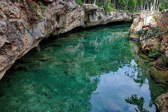 Tour at Unique Cenotes in Tulum