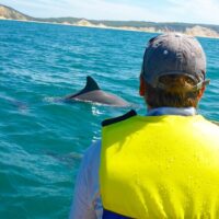 Cruises, Sailing & Water Tours