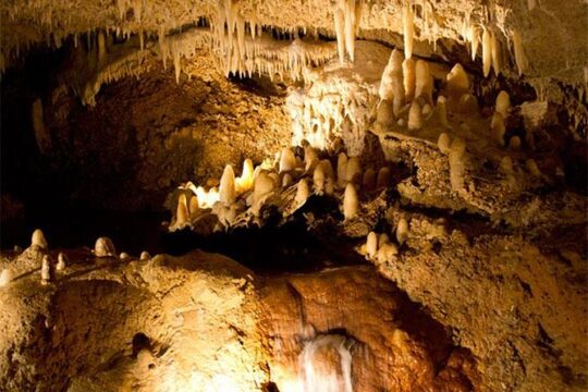 Barbados Harrison's Cave Tram Tour and Boat Cruise Snorkel Adventure