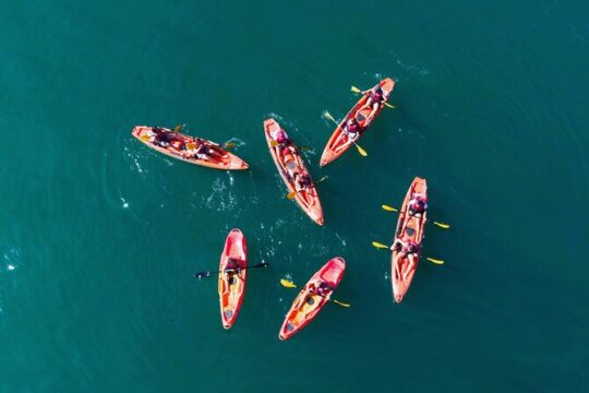 3 Hours Kayaking in Kotor Bay in Montenegro