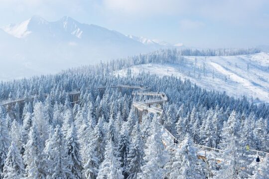 Full-Day Slovakia Treetop Walk and Thermal Baths from Krakow