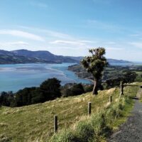 Day Trips & Excursions