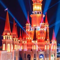 Night Tours
