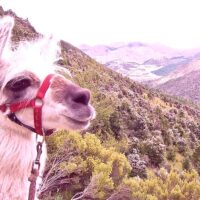 Walking & Biking Tours