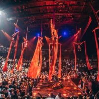 Shows, Concerts & Sports