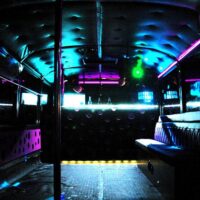 Nightlife