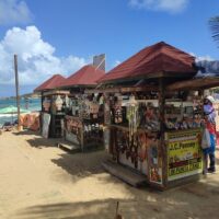 Cultural & Theme Tours