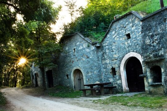 Wine Tasting in the Countryside from Budapest