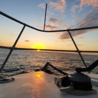 Sailing Trips