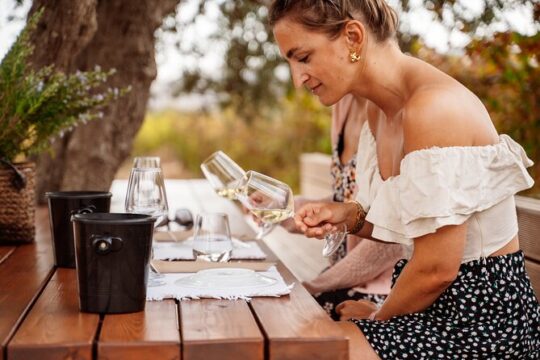 Heraklion Private Half-Day Wine Tasting Tour in Lyrarakis Winery