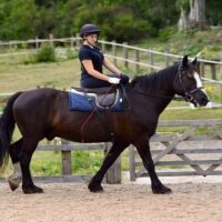 Horseback Riding