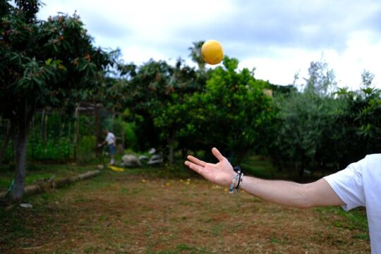 Authentic Sicilian Cooking Experience & Garden Disocvery