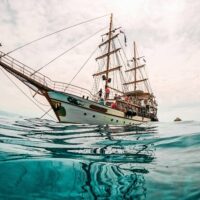 Day Trips & Excursions