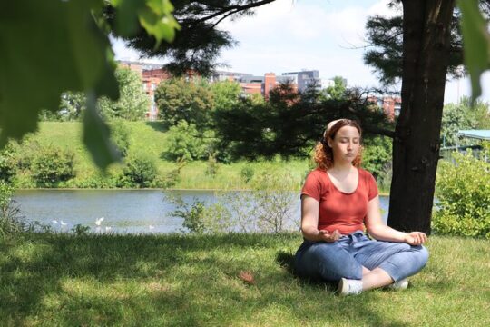 Montreal Mindfulness Walking Tour Experience