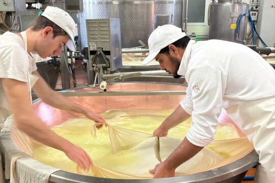 Modena Tour: Motor & Food Valley