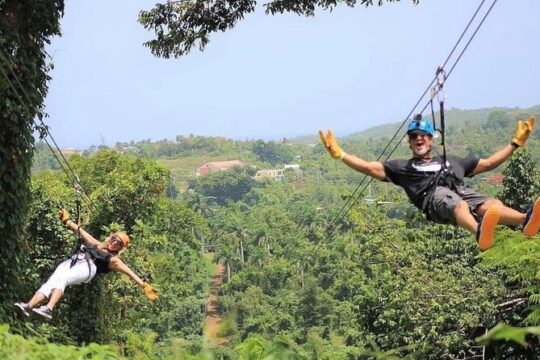 Rainforest Zipline in foothills of the National Rainforest