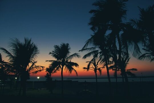 Bioluminescence from Puerto Escondido