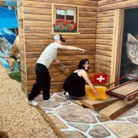 Museum Tickets & Passes