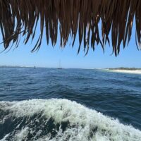 Half-day Tours