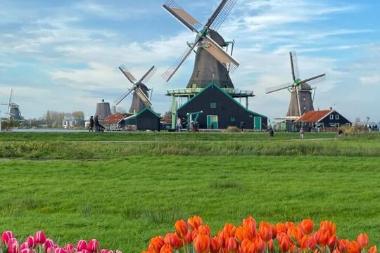 Volendam Boat Tour to Cheese Factory and Alkmaar Cheese Market