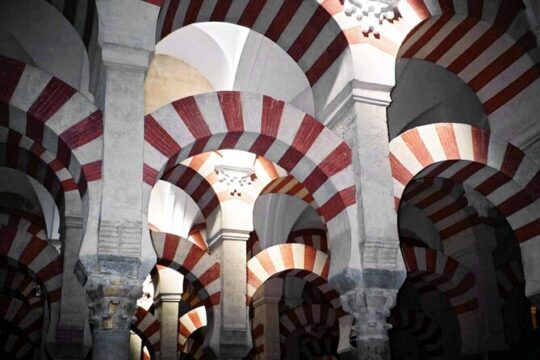 Mosque Cathedral of Cordoba History Tour in Spanish