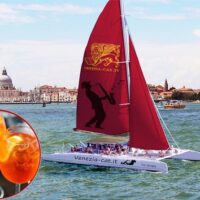 Catamaran Cruises