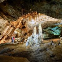 Sightseeing Tickets & Passes