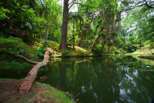 Furnas Hot Springs Full-day Tour
