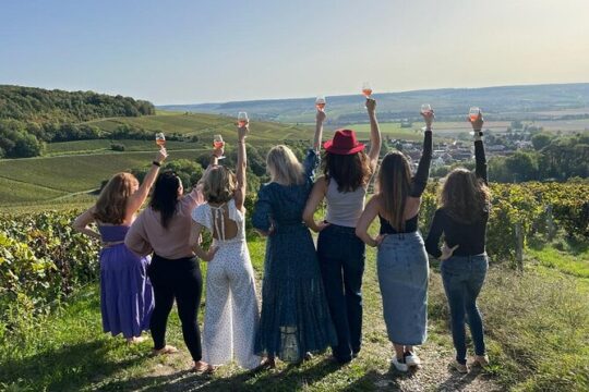 Champagne & Loire Valley Small Group Double Wine Day Tours