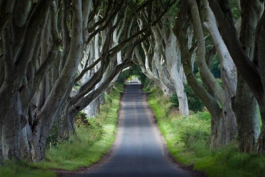 2-Day 'Game of Thrones' Rail Tour from Dublin Incl. Belfast and Giant's Causeway