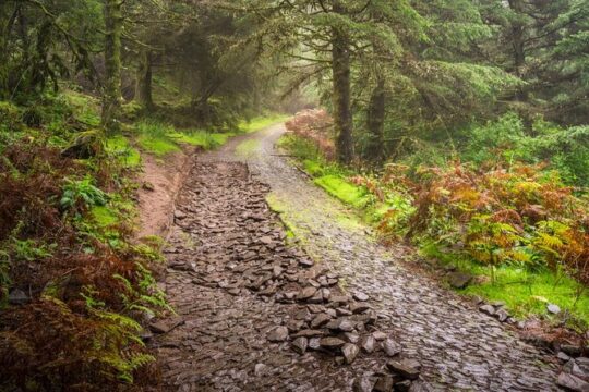 Full day East Adventure Jeep Tour in Madeira Portugal