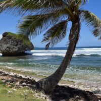 Bus & Minivan Tours