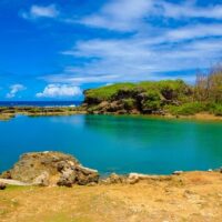 Cultural & Theme Tours