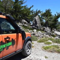 Private & Custom Tours