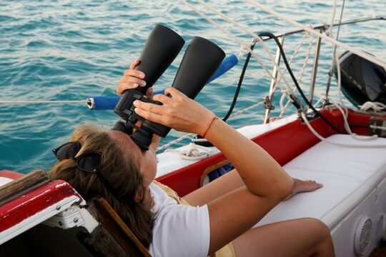 6hrs of Sailing in Bacalar Lagoon: discover Cenotes, Islands and Stromatolites.