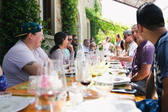 Olive Oil Tasting