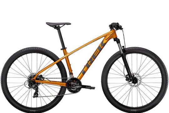 Rent a Bike Full Day from Coimbra