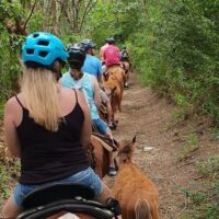 Horseback Riding