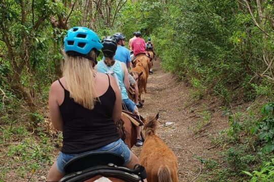 3 Hours Horseback Riding from Nature Trails to Sofa Stone