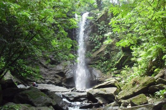 Avocat Waterfall Tour & Beach Stop Adventure